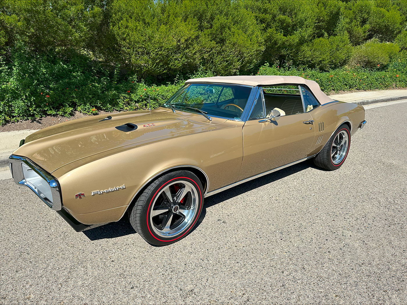 ATF-1967-Firebird-400